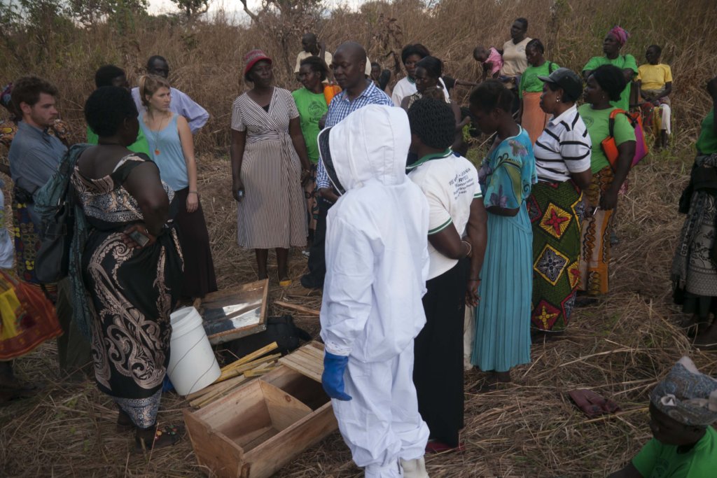 In action at a beekeeping training!