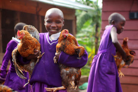 Provide Education to AIDS Orphans in Rural Uganda